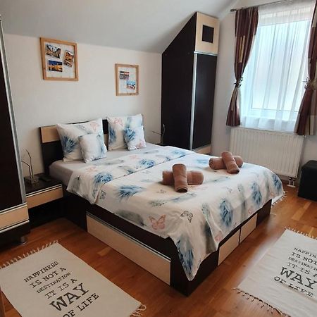 Smiley Apartment Sibiu Buitenkant foto