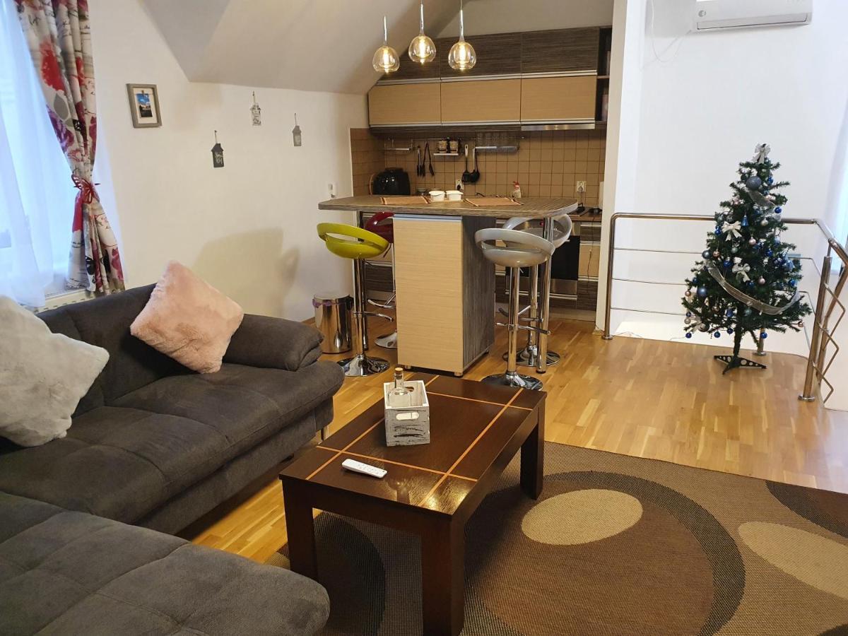 Smiley Apartment Sibiu Buitenkant foto