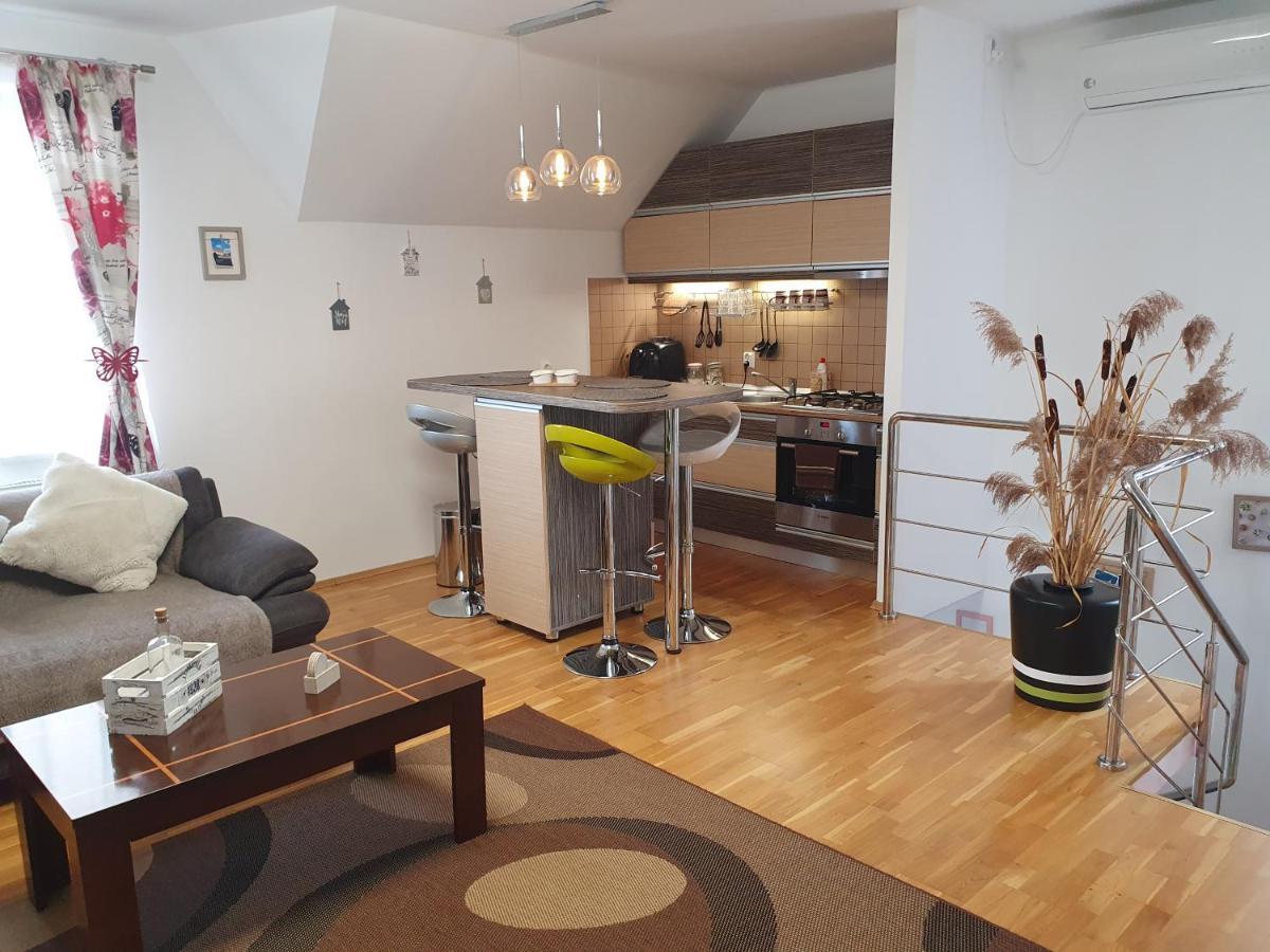 Smiley Apartment Sibiu Buitenkant foto