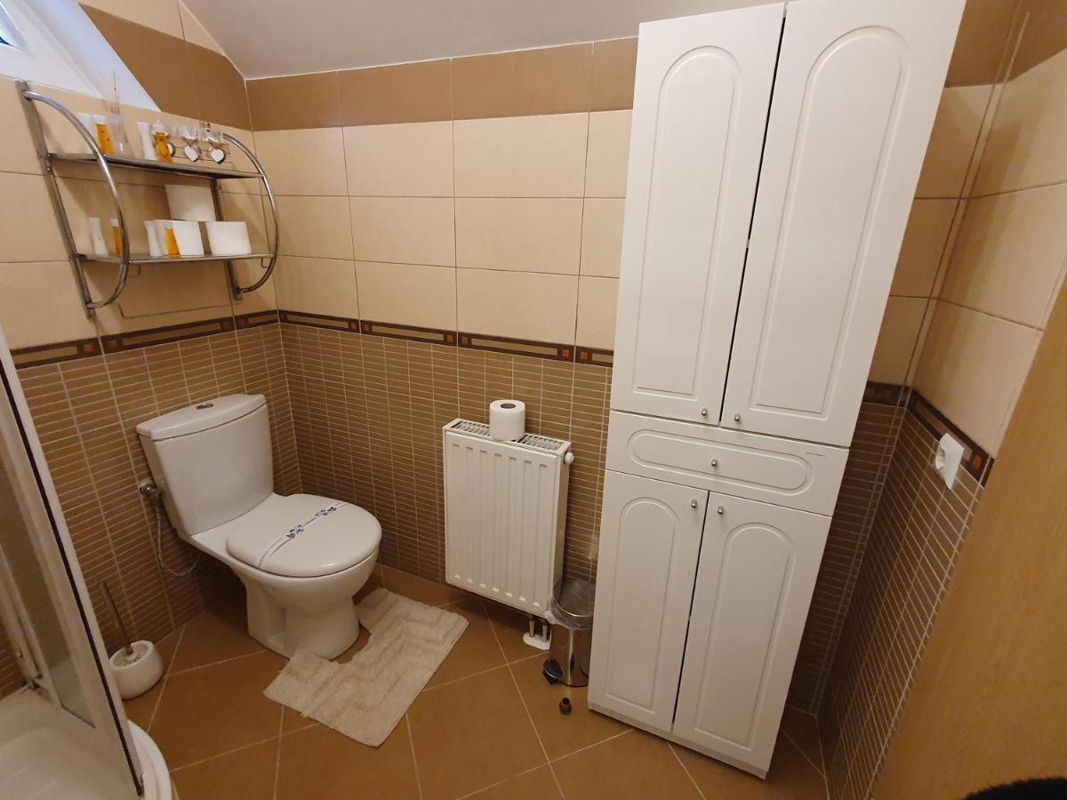 Smiley Apartment Sibiu Buitenkant foto