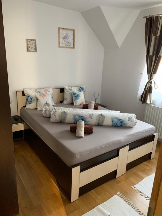 Smiley Apartment Sibiu Buitenkant foto